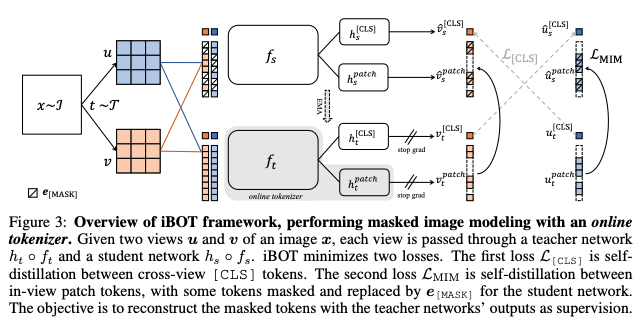 ibot
