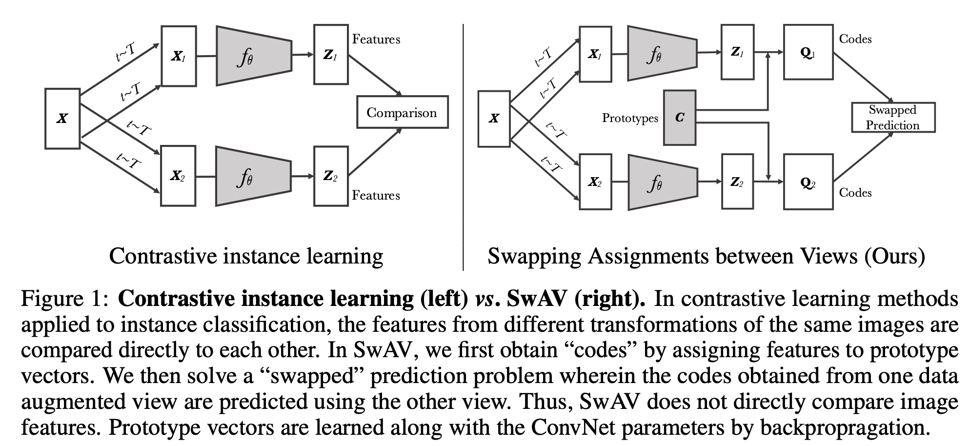 swav